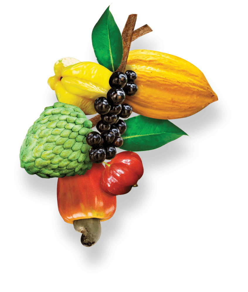 Fruits Naturanic